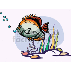 This clipart image features a colorful tropical fish with prominent fins and patterns, swimming among seaweed and bubbles, with a few rocks at the bottom.