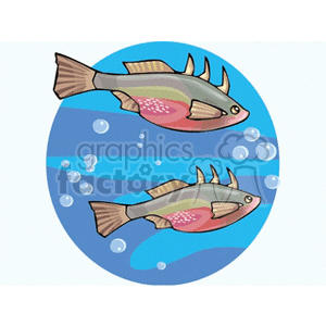 The clipart image features two stylized fish swimming underwater. They are depicted among bubbles, indicating movement through water. The fish have prominent dorsal fins and multi-colored bodies with hues of pink, yellow, and green, with a gradient blue background representing the water.
