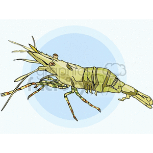 This clipart image features a single shrimp. It has a detailed depiction showcasing the segmented body, antennae, and the characteristic long rostrum.