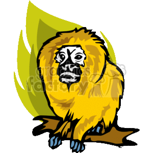 The clipart image shows a stylized illustration of a golden lion tamarin, which is a small monkey characterized by its vibrant orange or golden fur. The tamarin appears to be sitting and is depicted with a distinctive mane of long golden hair around its face. There is also a green leafy backdrop behind the tamarin, which gives a hint of its natural habitat, typically the rainforests.