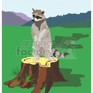 The clipart image depicts a raccoon standing on a tree stump. The background includes a green field and purple mountains. The raccoon is illustrated in a simplistic style and has the distinct black mask and striped tail characteristic of the species.