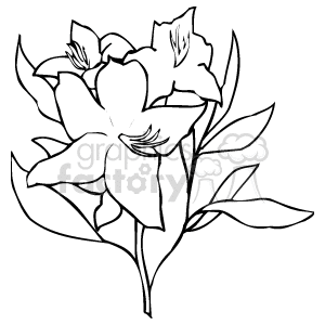 The image is a simple black and white clipart of a flower with multiple leaves. The flower appears to be a stylized representation, possibly of a rose or similar bloom, with several petals open.