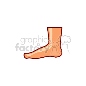 cartoon foot