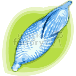 This clipart image features a blue and white patterned seashell resting on a green leaf. The style is cartoony and uses bold outlines and simplified shapes, typical of clipart illustrations.