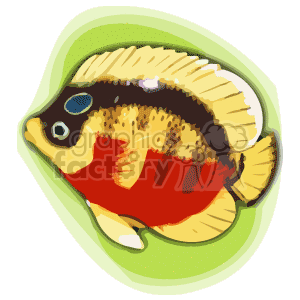 The clipart image features a stylized depiction of a tropical fish with a vibrant color palette, including yellows, reds, and hints of black and blue. The fish is illustrated with exaggerated features such as a large eye and prominent fins, set against a light green, wavy background, which may suggest watery surroundings.