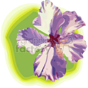 The image shows a stylized representation of a tropical hibiscus flower, commonly associated with Hawaiian flora. The flower, appearing in shades of purple and white with a red center, is depicted against a subtle green background that might suggest a leaf or abstract representation of Hawaii's lush greenery.