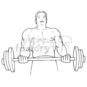 The clipart image depicts a muscular individual performing a bicep curl with a barbell. The person is shown frontally, with clear emphasis on the upper body muscles that are engaged during the exercise. The barbell has weights on both ends, suggesting that the individual is engaging in a strength training workout.