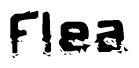 The image contains the word Flea in a stylized font with a static looking effect at the bottom of the words