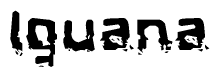 This nametag says Iguana, and has a static looking effect at the bottom of the words. The words are in a stylized font.