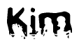 The image contains the word Kim in a stylized font with a static looking effect at the bottom of the words