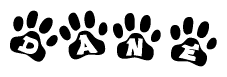 The image shows a series of animal paw prints arranged in a horizontal line. Each paw print contains a letter, and together they spell out the word Dane.