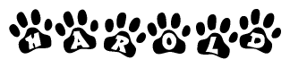 The image shows a series of animal paw prints arranged horizontally. Within each paw print, there's a letter; together they spell Harold