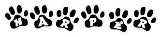 The image shows a row of animal paw prints, each containing a letter. The letters spell out the word Harper within the paw prints.