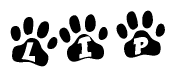 The image shows a series of animal paw prints arranged horizontally. Within each paw print, there's a letter; together they spell Lip