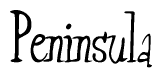 The image contains the word 'Peninsula' written in a cursive, stylized font.