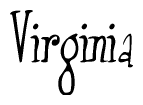 The image is of the word Virginia stylized in a cursive script.