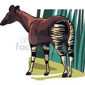 This clipart image shows an okapi. It looks like a cross between a horse and a zebra, found in rainforests