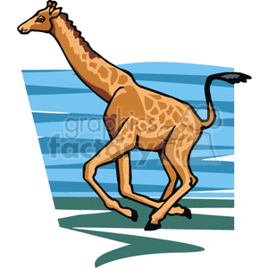 The clipart image depicts a vector illustration of a giraffe running. The giraffe appears to be in motion with its legs outstretched and their necks extended upwards. 