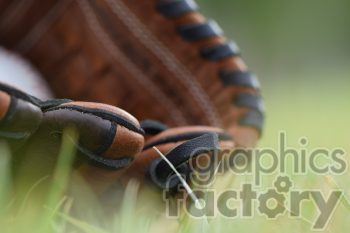 baseball glove in grass blurred