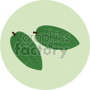 two small leaves on green circle background