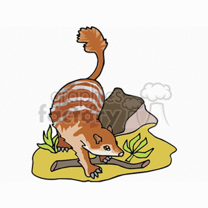The image is a clipart depicting a cartoonish striped animal that could be interpreted as an anteater or a similar creature due to the shape of its snout and the way it is positioned over what appears to be a patch of earth or a rock. It looks like it is sniffing or digging in the ground with leaves around it. However, it is not detailed enough to be scientifically accurate, and its features seem to be a hybrid of different animals, which might include traits from anteaters, raccoons, and possibly other mammals.
