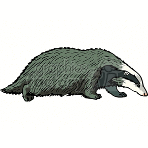 The clipart image shows a badger, which is a black and white animal. The badger has distinctive markings with a white stripe from its head down its back, a dark body, and a somewhat elongated appearance.