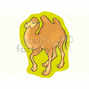 The clipart image shows a cartoon of a brown camel with two humps, which indicates that it is a Bactrian camel. The camel is standing, and the background suggests a simplistic and stylized representation of a desert environment. There's no visible water in the image.