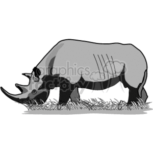 The clipart image shows a rhinoceros standing in grass. It has a prominent horn at the front of its snout, and its body is shaded to give a sense of dimensionality. The rhino appears to be a simplified depiction, with basic detailing to indicate its skin folds and features.