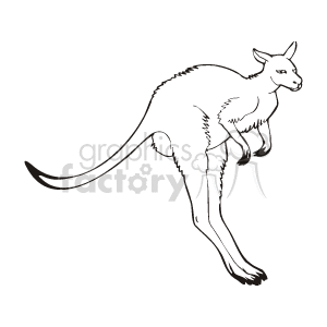 The image shows a realistic kangaroo in mid-air, jumping up and to the right. The kangaroo has long legs, and long arms with big, black paws. Its ears are pointed and its face is turned to the side. The kangaroo has a large, muscular tail that is pointing down.