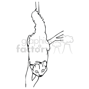 This image is a line art drawing of a bushbaby monkey. It's climbing along a branch towards you