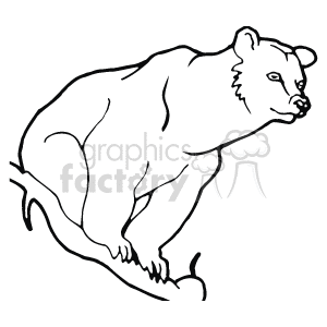 The image is a black-and-white drawing of a close-up of a brown bear, sitting on a branch. The bear has large round eyes, and a small snout.