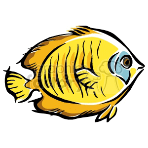 The image is a clipart of a yellow tropical fish with blue accents around the eye and fins. It shows simplified lines and shapes, typical of clipart, depicting the fish in a side profile.