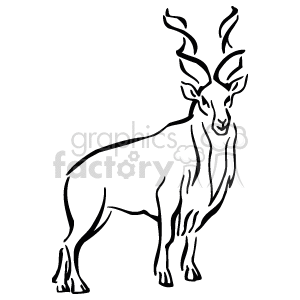 The clipart image depicts a standing antelope. The animal is characterized by its elegant body, long limbs, and notably the intricate and large horns that curve in a distinctive pattern. The image is a line drawing and does not contain any shading or color, consisting of only the outlines that define the shape and features of the antelope.
