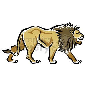 The image is a clipart of a single lion walking. It depicts the lion with a prominent mane and a stylized, cartoon-like appearance, typical for clipart illustrations.