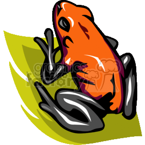 The clipart image features a stylized representation of a red and black poison dart frog, which is a type of brightly colored amphibian known for its toxic skin. The frog is positioned on a green leaf, which suggests its natural habitat in the rainforest. The colors of the frog are vivid, with the red body contrasted by black markings, which is characteristic of certain species of poison dart frogs used by indigenous tribes to poison the tips of their darts for hunting.