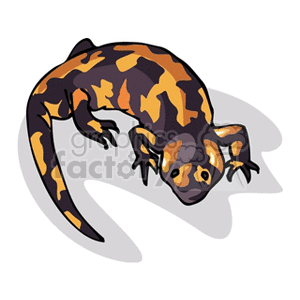 The image is a clipart illustration of a salamander with a black and orange pattern.