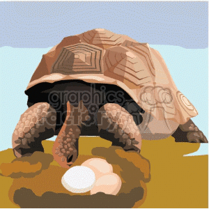 The image shows a tortoise next to several eggs, one of which appears to be hatching. The setting is likely meant to represent a natural environment where the tortoise has laid its eggs. 