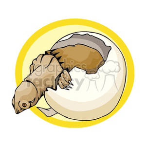 The image is a cartoon clipart of a baby sea turtle hatching from an egg. 