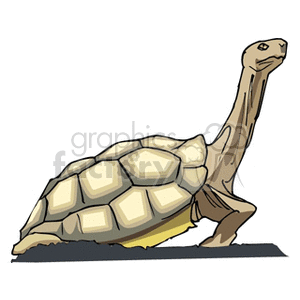 This clipart image features a cartoon turtle. The turtle has an elongated neck and appears in a side profile. It has a textured shell with multiple segments, and its neck and legs are depicted in a lighter shade. The illustration style is simple and suitable for a variety of uses, from educational materials to creative projects.