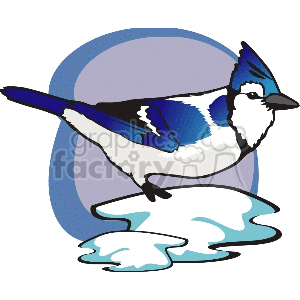 The image depicts a stylized blue jay, which is a type of bird known for its vibrant blue coloration and distinct markings. The blue jay is positioned on what appears to be a patch of snow. The background consists of a simple circular gradient shape, possibly indicating the sky.