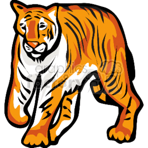 The clipart image is of a tiger. It shows the tiger walking in place and moving towards you.
