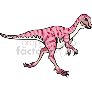 This clipart image is of a stylized pink dinosaur with darker pink stripes and patterns. The dinosaur is bipedal, meaning it stands on two feet, and shows features such as a long tail, two arms with claws, and a head with a visible eye and mouth.
