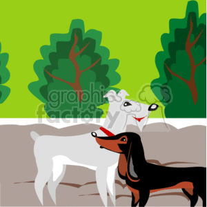 The image is a clipart featuring two cartoon dogs. One is a black and tan dachshund, which is recognizable by its long body and short legs. The other dog is white and has a slimmer and taller build compared to the dachshund, a bit like a terrier. They are standing on what resembles a brown surface, possibly dirt or ground, with green shrubbery and trees in the background, suggesting they are outdoors. The dogs are depicted in profile, facing to the right, and both have collars, indicating that they are pets.