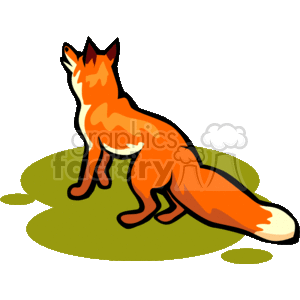 The clipart image shows a stylized depiction of a fox, characterized by its orange fur, pointed ears, and bushy tail. The fox is standing on what appears to be a patch of ground with green accents, possibly representing grass. Its pose suggests attentiveness or curiosity, with its head turned upward as if looking or listening to something outside the frame of the image.