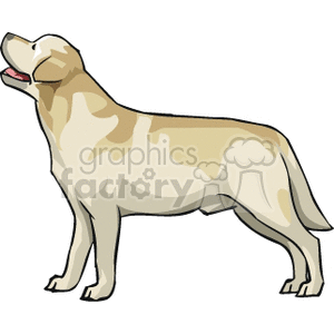 The clipart image features a stylized drawing of a Labrador Retriever. The dog appears to be in a standing profile pose, with a predominantly white and light tan coat. The Labrador is depicted with its mouth open, as if it is panting or waiting for a command, and it exhibits a cheerful and friendly demeanor characteristic of the breed.