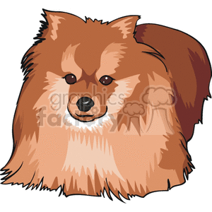The image is a clipart illustration of a dog. However, there seems to be a typo in the keywords provided. The image is not of a Shih Tzu but appears to be a different fluffy dog breed, possibly resembling a Chow Chow or a similar breed with thick fur and a distinctive ruff around the face.
