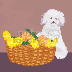 The clipart image features a fluffy white dog next to a wicker basket filled with yellow and orange flowers. The dog appears to be sitting calmly, and its fur is detailed with various shades of white and light grey, giving it a textured look. The basket has a discernible weave pattern and contains flowers with visible petals and leaves, suggesting a fresh, blooming arrangement.