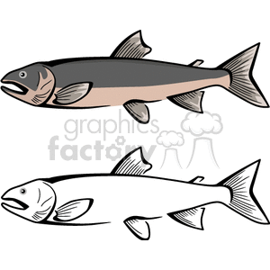 The clipart image features two stylized illustrations of fish, resembling salmon. The top fish is colored with shades of gray and pink, while the bottom one is depicted in grayscale. Both fish have prominent gills, tail fins, and are oriented horizontally as if swimming.