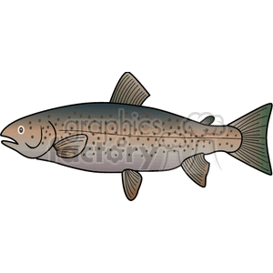 The image depicts a cartoon illustration of a salmon. It's a simplified representation typically used for educational materials, children's books, or websites related to wildlife or fishing.