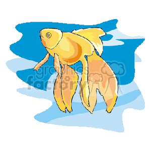 The clipart image shows a stylized, colorful drawing of a Betta fish, commonly known as a Siamese fighting fish. The fish is depicted in shades of yellow and orange, with flowing fins and tail, against a backdrop of blue that resembles water.
